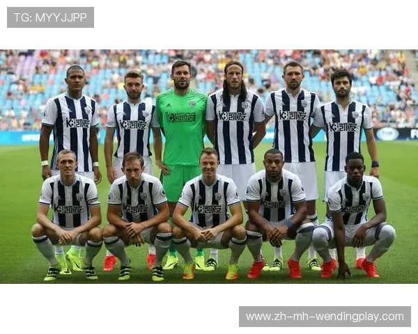 英超球队拥有多个中国老板的案例及投资分析