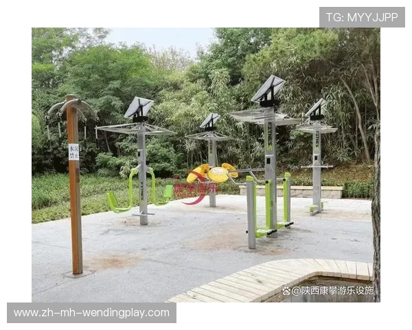 西安户外健身器材：西安地区户外健身器材的使用与市场需求
