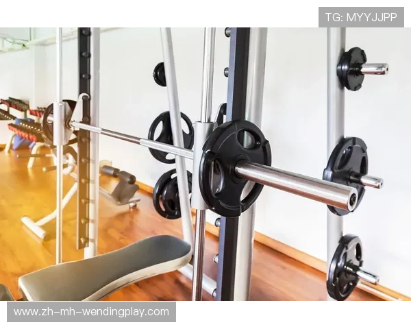 高端健身器材大全及选择指南 高端健身器材大全及选择指南