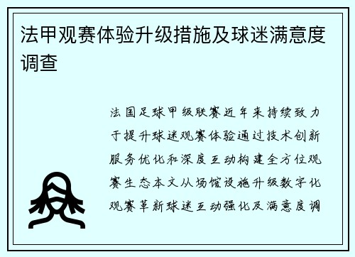 法甲观赛体验升级措施及球迷满意度调查
